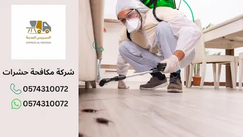 شركة مكافحة حشرات بالمدينة المنورة​